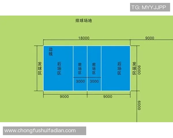 广州排球队状态深度对比分析及未来发展趋势探讨