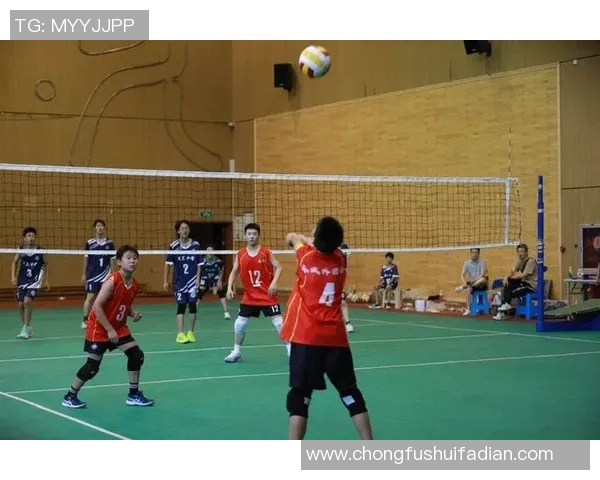 杭州排球队的精神风貌与团队意识探讨：排球运动中的团结与拼搏精神