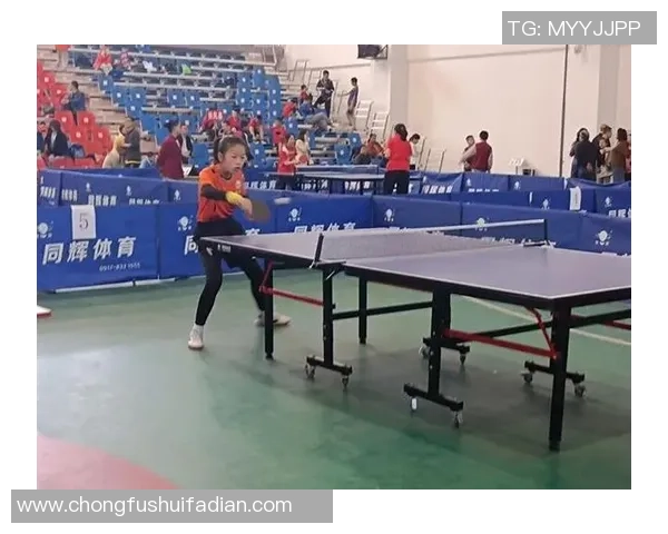 西安乒乓球队区域防守策略分析与比赛表现评估 西安乒乓球队区域防守策略分析与比赛表现评估