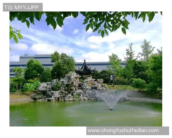 南京排球队的辉煌之路：从默默无闻到大师赛的荣耀时刻