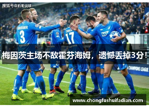 梅因茨主场不敌霍芬海姆，遗憾丢掉3分！